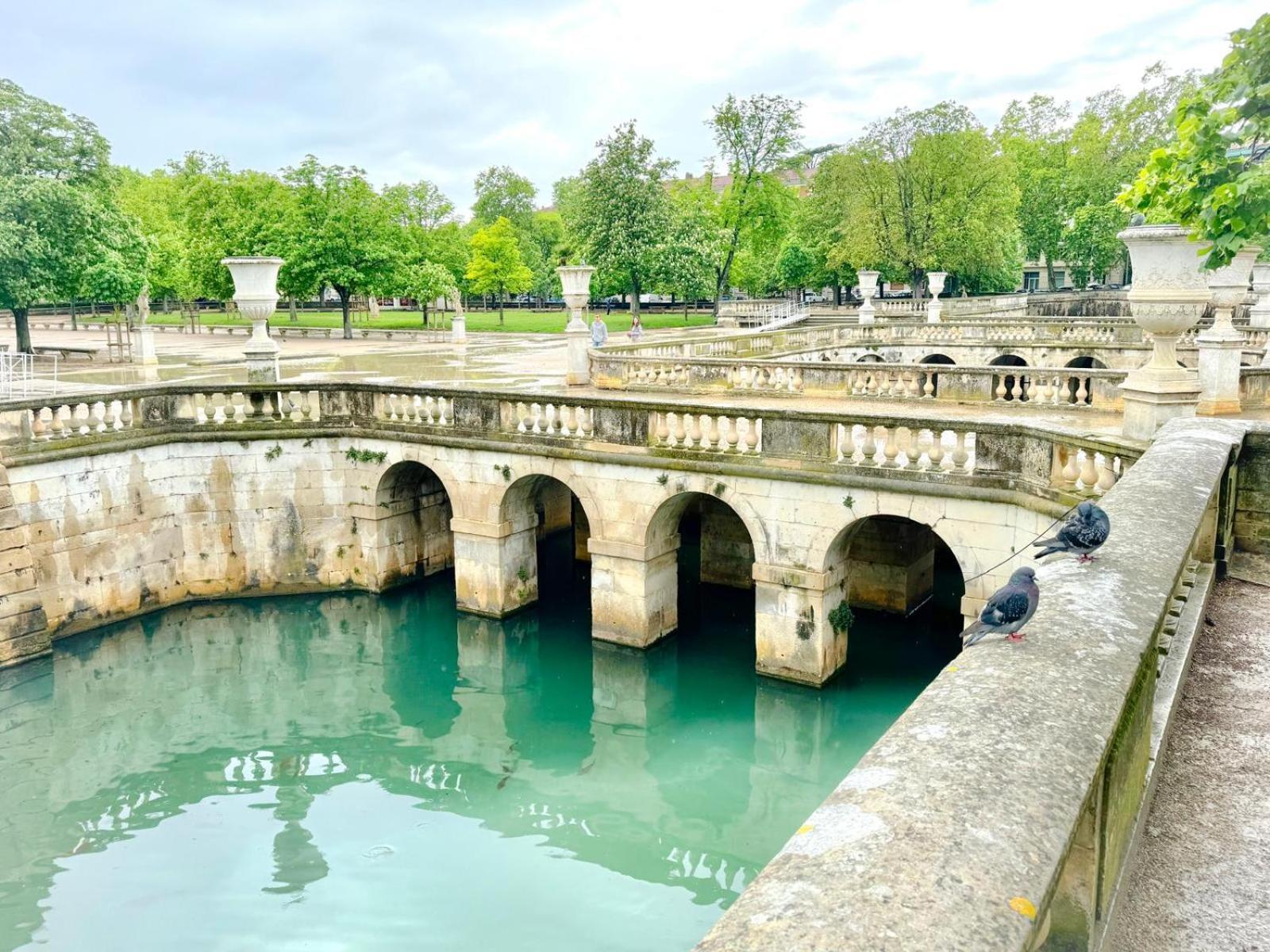 Au Coeur Du Centre Historique - Immeuble Classe - Terrasse - Climatise Nîmes Exteriör bild