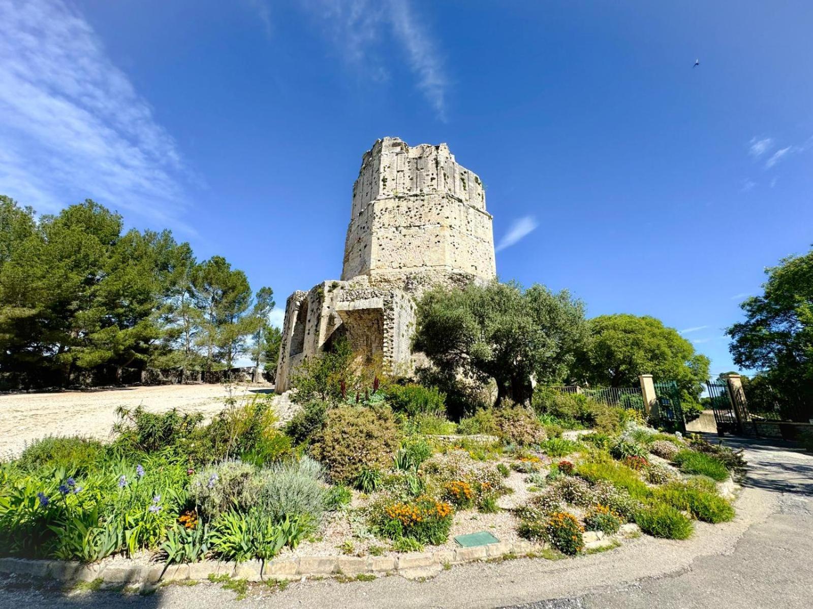 Au Coeur Du Centre Historique - Immeuble Classe - Terrasse - Climatise Nîmes Exteriör bild